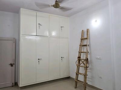 Living Room Image of 1500 Sq.ft 2 BHK Builder Floor for rent in Janakpuri New Delhi for Rs. 30000