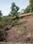 Naya Sher badala Plot View 2