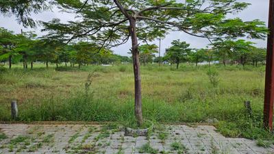Image of 1000 Sq.ft Residential Plot / Land for sale in Tigaria Badshah, Indore for Rs. 6500000