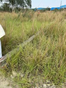 Sahu Housing Society Lucknow Plot View 3