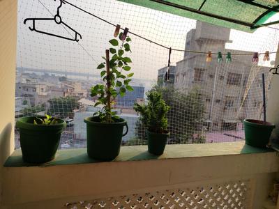 Balcony Image of 380 Sq.ft 1 BHK Apartment / Flat for sale in Ghodasar Ahmedabad for Rs. 2150000