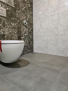 Common Bathroom Image of 850 Sq.ft 2 BHK Apartment / Flat for rent in Duville Riverdale Heights, Kharadi Pune for Rs. 36000