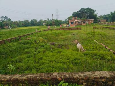 Image of 3600 Sq.ft Residential Plot / Land for sale in Sonarpur, Kolkata for Rs. 950000