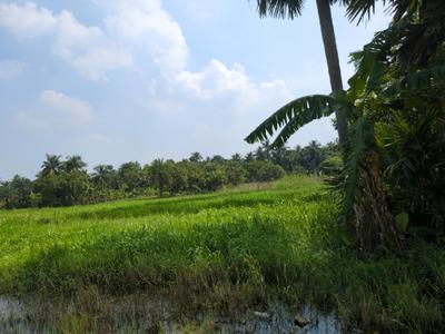 Image of 1080 Sq.ft Residential Plot / Land for sale in Joka, Kolkata for Rs. 255000