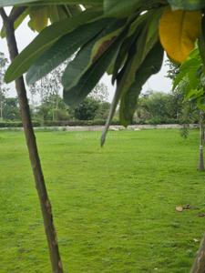 Image of 850 Sq.ft Residential Plot / Land for sale in Bhatagaon, Raipur for Rs. 3825000