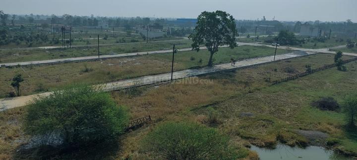 Sarkanda Main Image 1