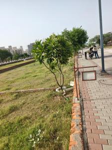 Image of 100 Sq.ft Residential Plot / Land for sale in Sector 41, Gurgaon for Rs. 36500000