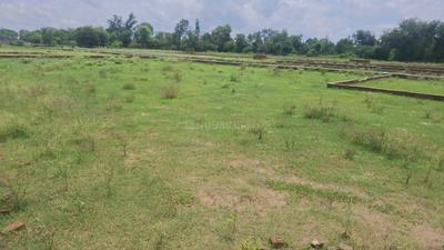 Juggaur Plot View 1