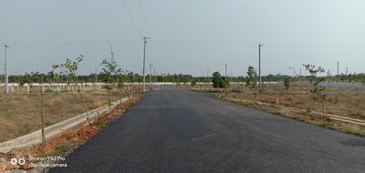 Thagarapuvalasa Plot View 1