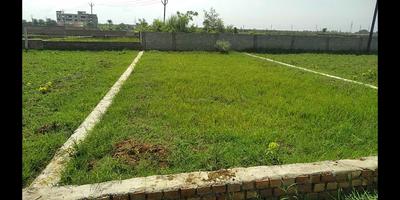 Bhagalpur Bypass near Birla open mind school Bhagalpur Plot View 2