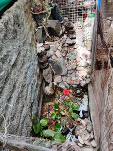Balcony Image of 1600 Sq.ft 3 BHK Independent House for sale in Jalna Town Jalna for Rs. 10000000