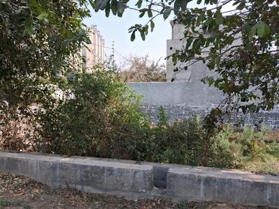 Sector 151 Plot View 2