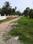 Natures Paradise Internal Roads 1