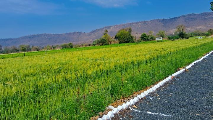 Khandwa road Simrool Plot View 1