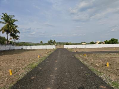 Residential Plot