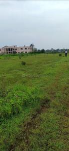 Kali Kheda Plot View 3