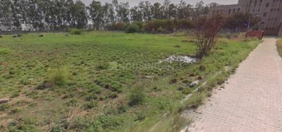 Huda Plot View 1