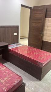 Bedroom Image of Blessings homestay pg in Haibowal Kalan, Ludhiana