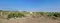 Dholera Plot View 2