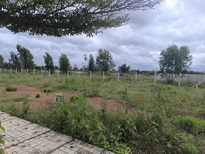 Telecom aero city Main Image 1