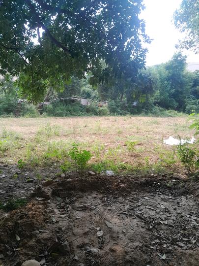 Malibu Town Floors Main Image 1