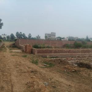 Danapur Nizamat Plot View 3