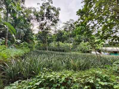 Image of 1214 Sq.ft Residential Plot / Land for sale in Kalamassery, Kochi for Rs. 8000000