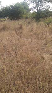 Savner Plot View 3