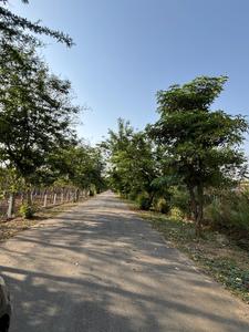 Image of 1750 Sq.ft 3 BHK Villa for sale in Nawada, Greater Noida for Rs. 26500000