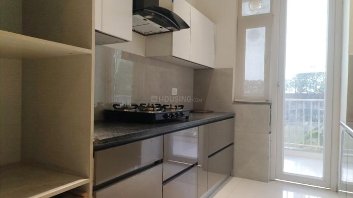 Motia Blue Ridge Main Image 1