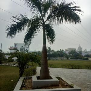 Image of 1575 Sq.ft 3 BHK Apartment / Flat for rent in Green Park Colony, Bareilly for Rs. 26000