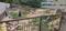 Ankur road naranpura Plot View 2