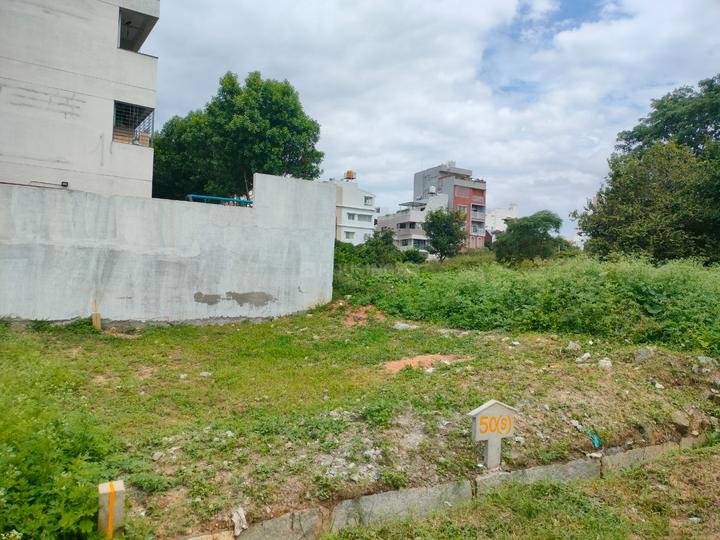 VIP layout Main Image 1