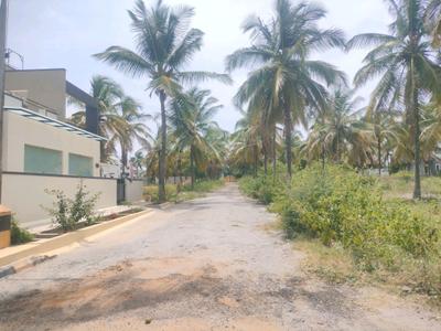 JR Coconest Prime Internal Roads 2