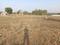 Shree Siddhivinayak Meera Plot View 1