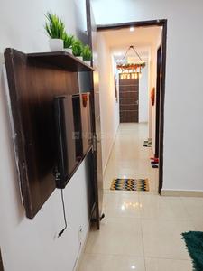 Hall Image of 550 Sq.ft 1 BHK Builder Floor for rent in DLF Phase 3 Gurgaon for Rs. 28000