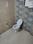 Bathroom Image of Khodal paying guest in Ramnagar, Bardoli