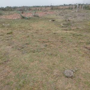 Image of 2120 Sq.ft Residential Plot / Land for sale in Purvaland Thirumazhisai Plots, Thirumazhisai, Chennai for Rs. 8900000