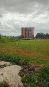 Image of 1076 Sq.ft 2 BHK Apartment / Flat for sale in Coevolve Florenza, Sarjapur, Bengaluru for Rs. 9900000