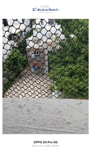 Image of 1300 Sq.ft 2 BHK Apartment / Flat for rent in Balaji Complex, Pimple Gurav, Pune for Rs. 20000