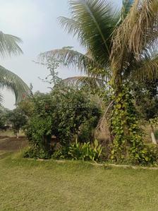 Image of 1420 Sq.ft Residential Plot / Land for sale in Ambli, Ahmedabad for Rs. 234300000