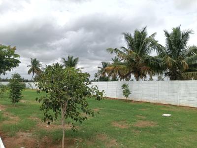 Residential Plot