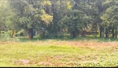 Image of 17400 Sq.ft Residential Plot / Land for sale in Aluva, Kochi for Rs. 20000000