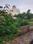 8th Phase, JP Nagar Plot View 2