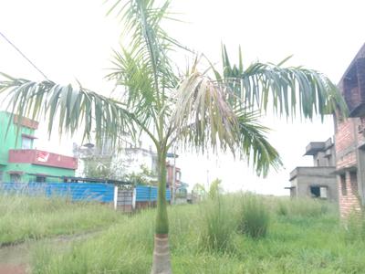 Image of 2160 Sq.ft Residential Plot / Land for sale in Fresco Fountain City Plots, Sankharipota, Raypur for Rs. 550000