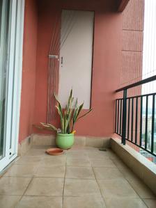 Living Room Image of 1745 Sq.ft 3 BHK Apartment / Flat for sale in Whitefield Bengaluru for Rs. 29200000