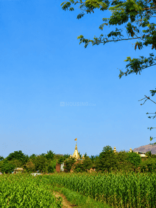 Image of 2189 Sq.ft Residential Plot / Land for sale in Punawale, Pune for Rs. 5900000