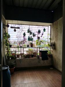 Living Room Image of 760 Sq.ft 2 BHK Apartment / Flat for rent in Krisala Krisanta Skyline, Vikas Nagar Pune for Rs. 19000