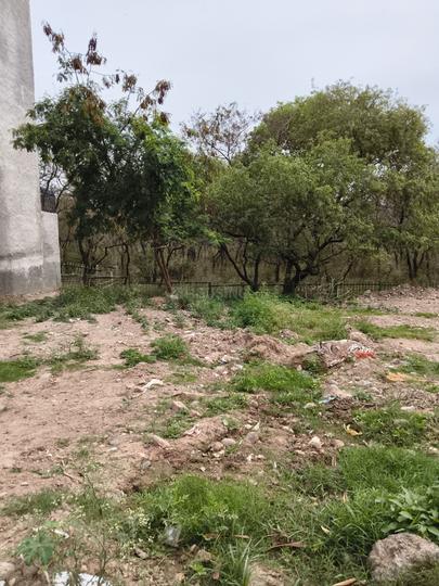 Sector 21 Main Image 1