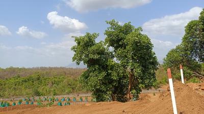 Image of 4200 Sq.ft Residential Plot / Land for sale in Neral, Thane for Rs. 4800000